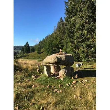 Meierhof Menzenschwand-Hinterdorf